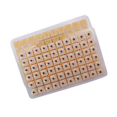 針刺し 機能マッサージ 600枚/箱 使い捨て耳プレスシード 多条件耳シードアクプレッシャーキット